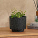 Aspen Terracotta Planter 14X14X12Cm - Black Pan Home