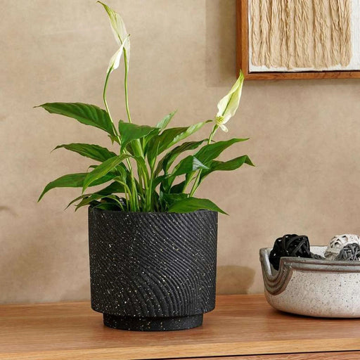 Aspen Terracotta Planter 17X17X15Cm - Black Pan Home