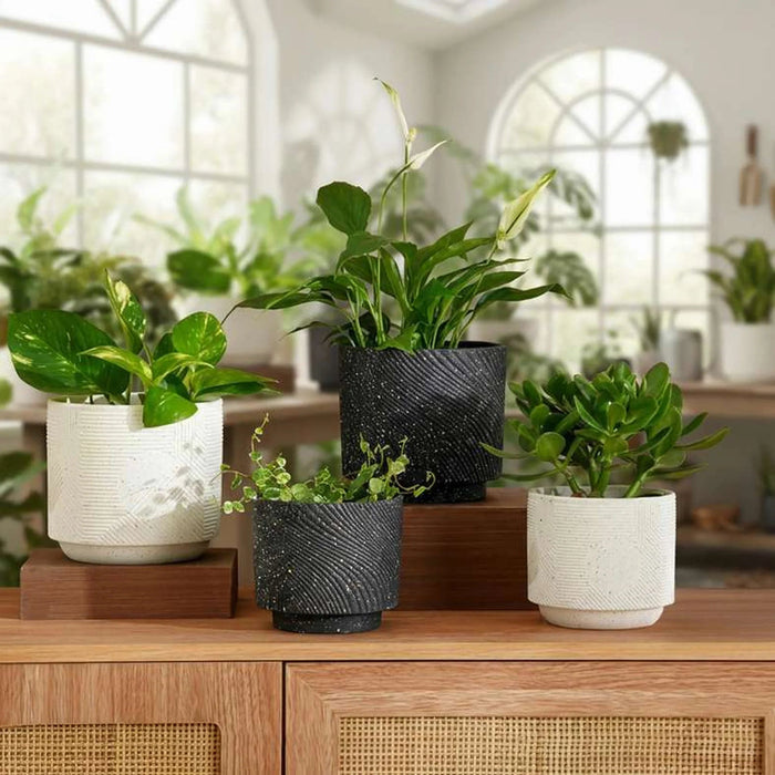 Aspen Terracotta Planter 17X17X15Cm - Black Pan Home