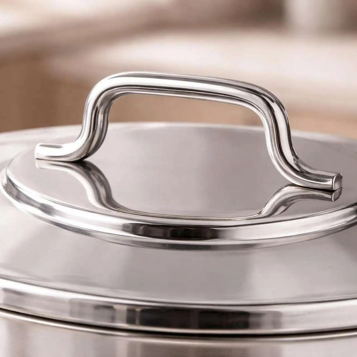 Astra Cooking Pot With Lid Dia24Cm -Chrome