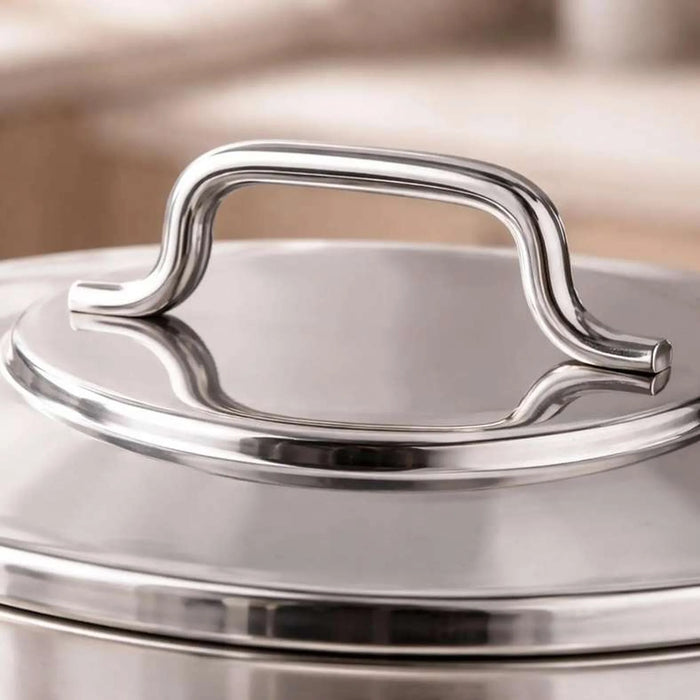 Astra Cooking Pot With Lid Dia28Cm -Chrome