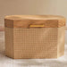 Aya Storage Box With Handle 48X30X30Cm - Beige Pan Home