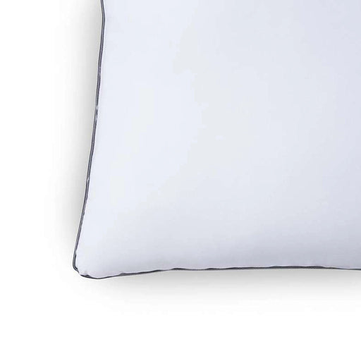 Bamboo Downfeel Pillow 43X68+5cm - White Pan Home