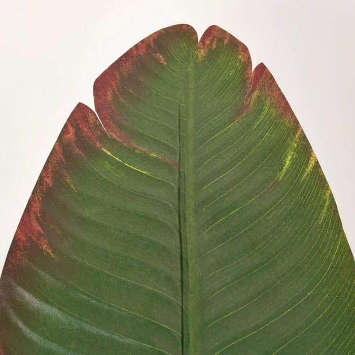 Banana Leaf Artificial Stem 24.77X24.77X109.22Cm- Green