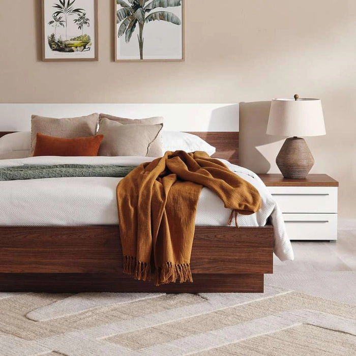 Belfast Night Stand - Walnut