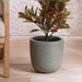 Bianca Polyresin Planter 28X28X26Cm- Grey Pan Home
