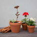 Blimah Metal Die Cut Garden Flower Stake 11.6X0.2X32.3Cm - Brown Pan Home