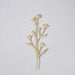Blimah Metal Die Cut Garden Flower Stake 14.5X0.2X35.4Cm - Green Pan Home