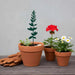 Blimah Metal Die Cut Garden Flower Stake 8X0.2X30.1Cm - Green Pan Home