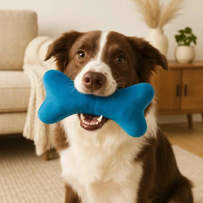 Bone Pet Toy - Blue