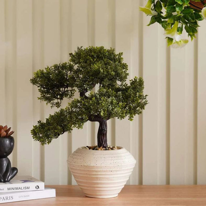 Bonsai Plant In Ceramic Pot H43Cm - Green