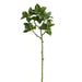 Camellia Leaf H75Cm - Green Pan Home