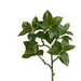 Camellia Leaf H75Cm - Green Pan Home