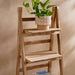 Carlton 4-Tier Wooden Planter Stand 41X32X112Cm - Natural Pan Home