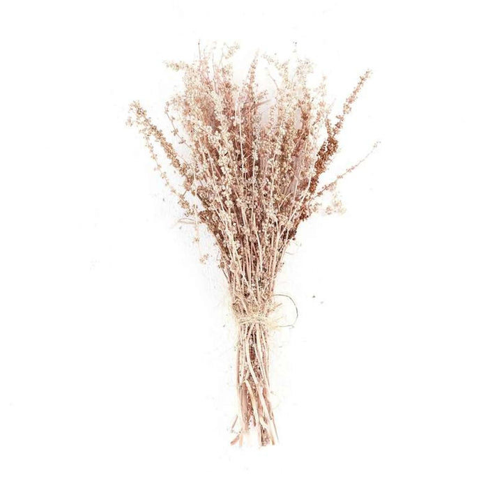Catalina Dried Bouquet H50Cm - Bleach