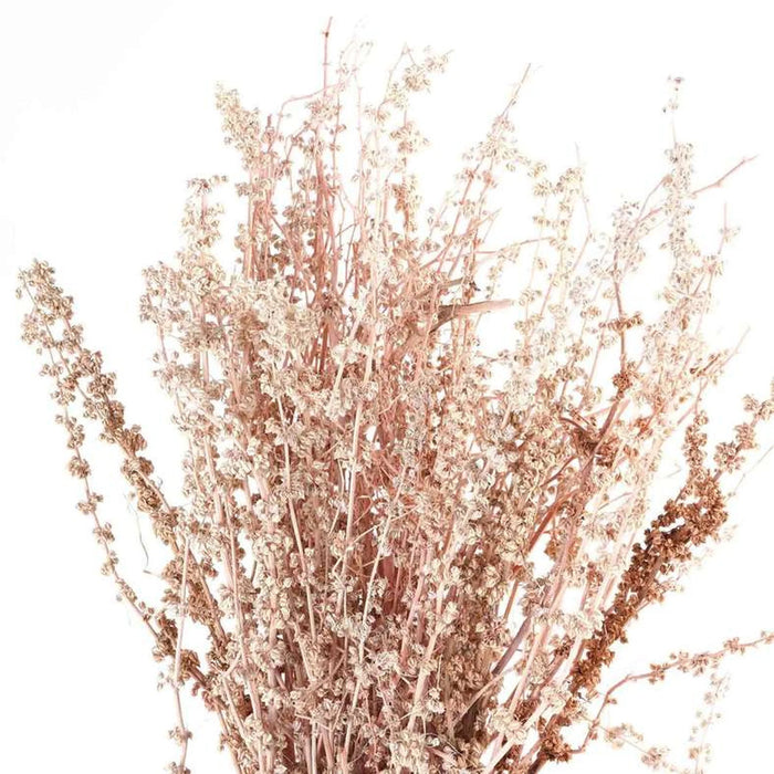 Catalina Dried Bouquet H50Cm - Bleach