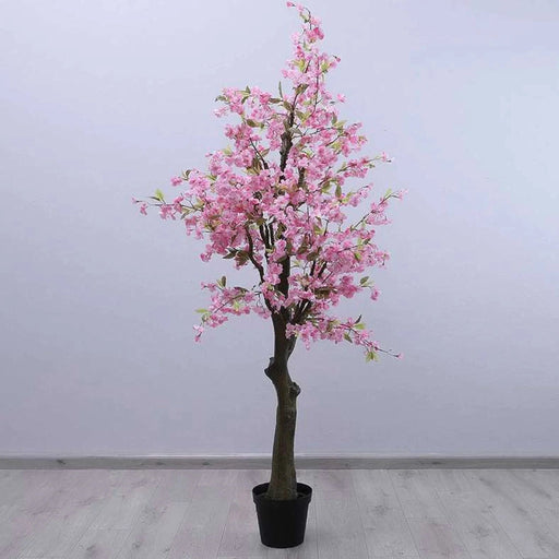 Cherry Blossom Tree Pink 220Cm Pan Home