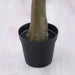 Cherry Blossom Tree Pink 220Cm Pan Home