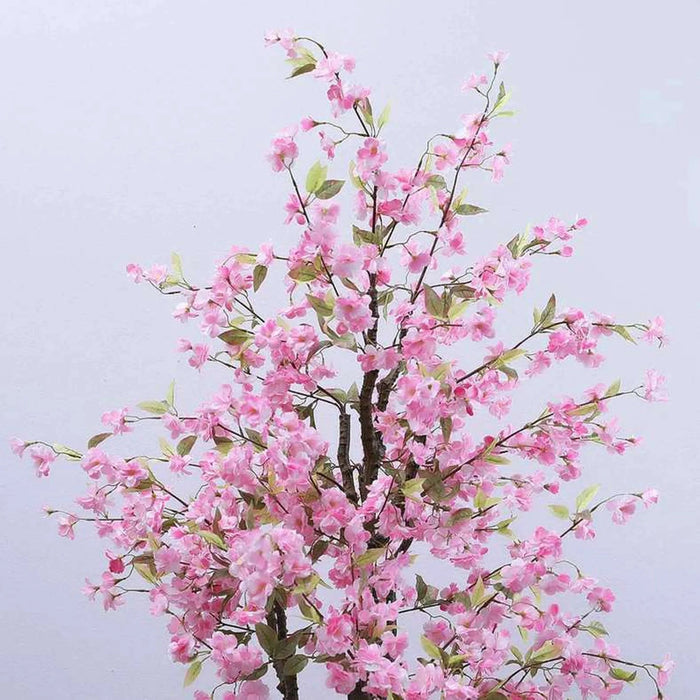 Cherry Blossom Tree Pink 220Cm Pan Home