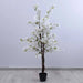 Cherry Blossom Tree White H150Cm Pan Home