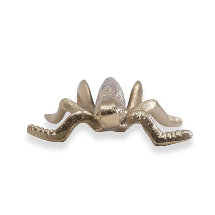 Cicada Decor 11.5X10Cm-Gold Pan Home