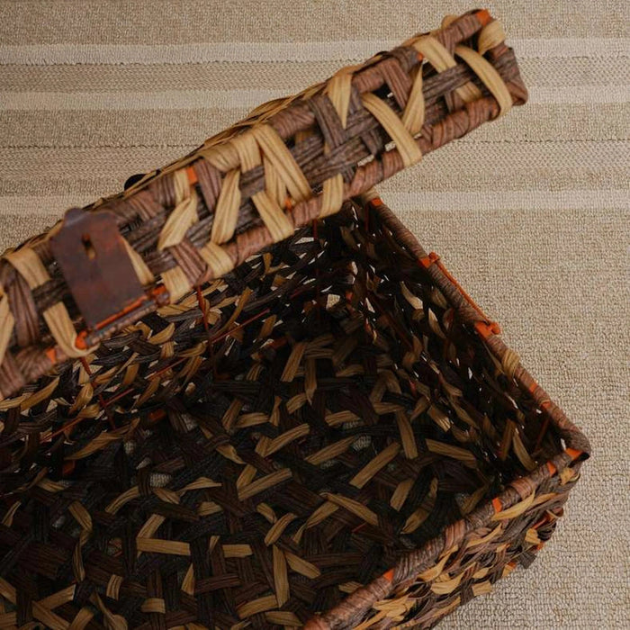 Cinta Metal And Plastic Rattan 60X34X33Cm - Brown Pan Home