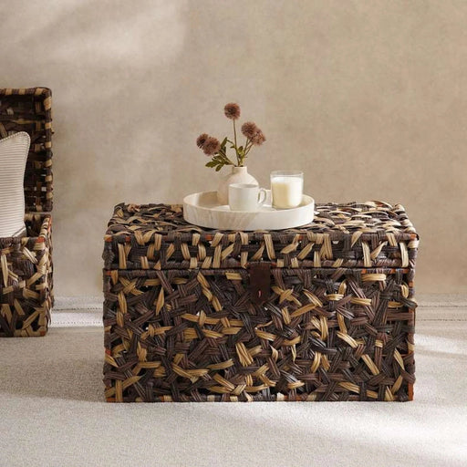Cinta Metal And Plastic Rattan Trunk 69X41X38Cm - Brown Pan Home