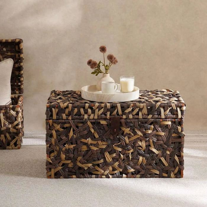 Cinta Metal And Plastic Rattan Trunk 69X41X38Cm - Brown Pan Home