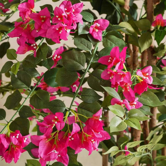 Climbing Bougainvillea Artificial Tree  H150Cm - Fuschia Pan Home
