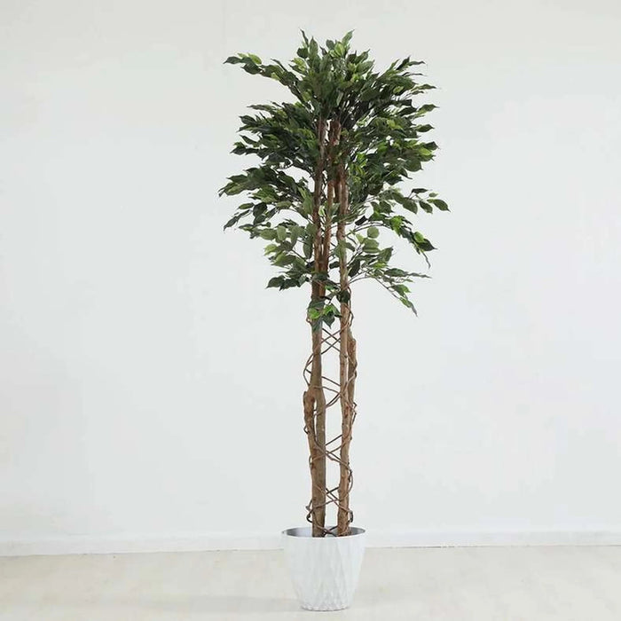 Climbing Ficus Tree Green H210Cm Pan Home