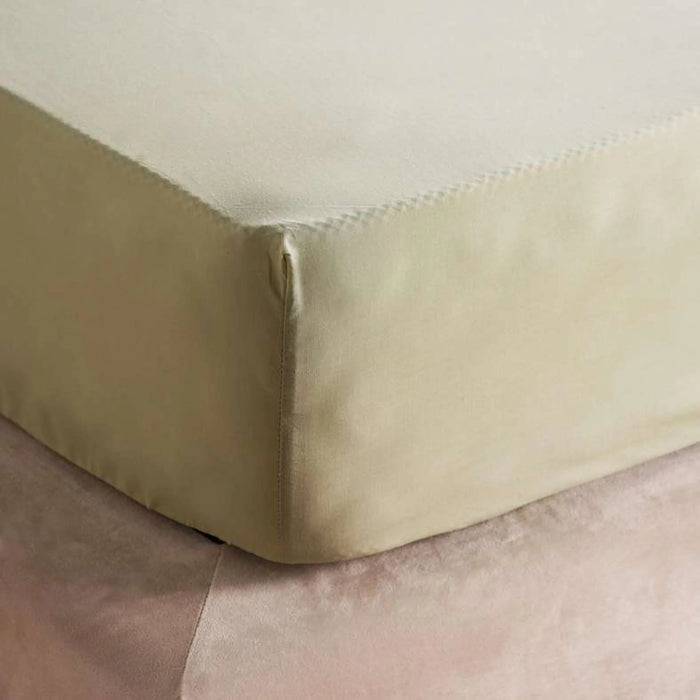 Comfy Kids 144Tc Cotton Rich Single Fitted Sheet  90X200+25Cm - Sage