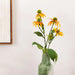 Cone Flower Artificial Stem 22.86X22.86X73.66Cm- Yellow Pan Home