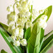 Convallaria Majalis Artificial Tree H190Cm - Green Pan Home