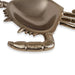 Crab Decor D16.5X2.5Cm-Gold Pan Home