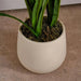Cymbidium Orchid Artificial Tree With Flowers H110Cm - Green Pan Home