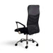 Dallyn Office High Back Chair Mesh And Fabric- Black Pan Home