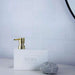Davis Dish Wash Liquid Dispenser With Scrubber Holder 16X7.2X15.1Cm-White Pan Home