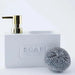 Davis Dish Wash Liquid Dispenser With Scrubber Holder 16X7.2X15.1Cm-White Pan Home