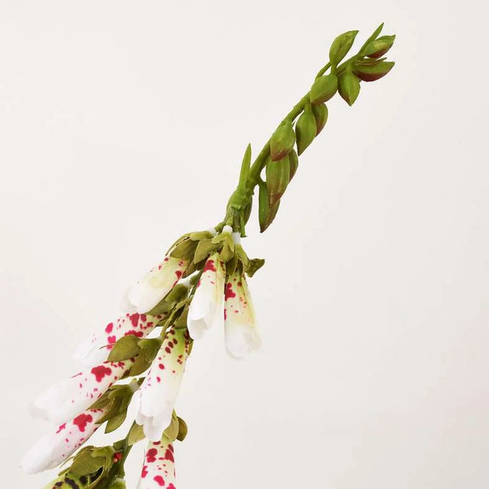 Digitalis Artificial Stem 10.16X10.16X88.9Cm- White