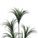 Dracaena Tree Green H130Cm Pan Home