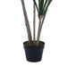 Dracaena Tree Green H130Cm Pan Home