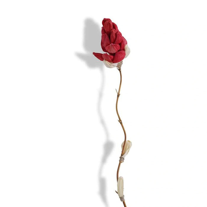 Dried Corn Leaf Bamboo Flower Stick 13X13X160Cm- Red Pan Home