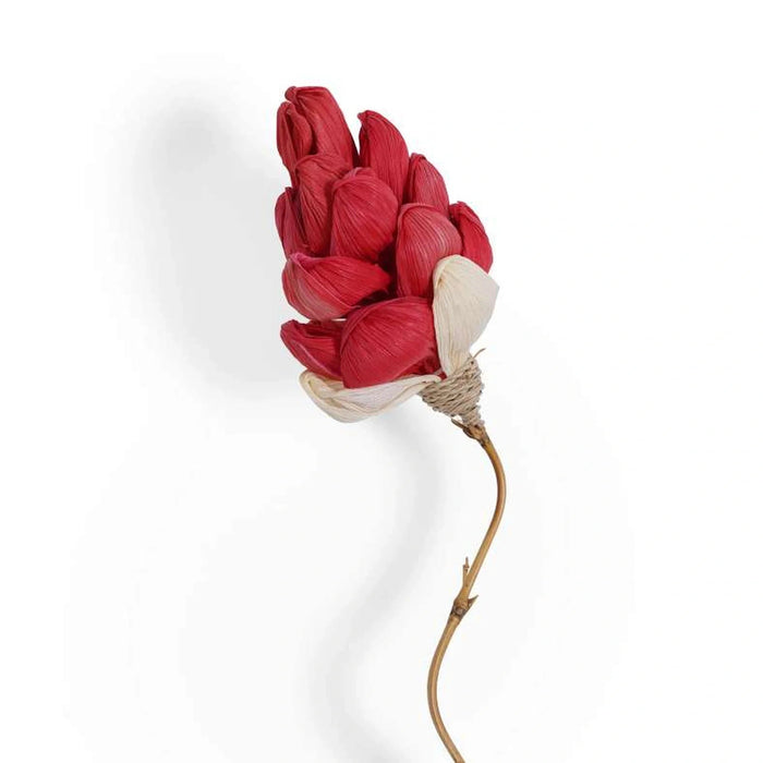 Dried Corn Leaf Bamboo Flower Stick 13X13X160Cm- Red Pan Home