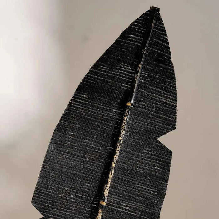 Dried Sisal Bamboo Leaf Stick 20X2X200Cm- Black Pan Home