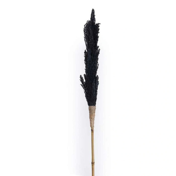 Dried Water Hyacinth Bamboo Stick 10X10X20Cm - Black