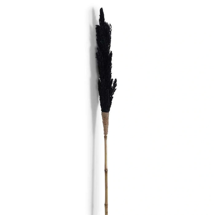 Dried Water Hyacinth Bamboo Stick 10X10X20Cm - Black