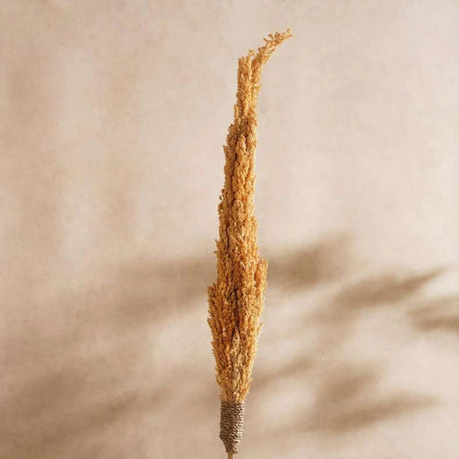 Dried Water Hyacinth Bamboo Stick 10X10X20Cm - Natural Pan Home
