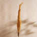 Dried Water Hyacinth Bamboo Stick 10X10X20Cm - Natural Pan Home