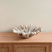 Drift Teak Wood Decor Platter 44X44X14Cm - White Wash Pan Home