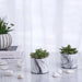 Echeveria Artificial Succulent H18Cm -Green Pan Home